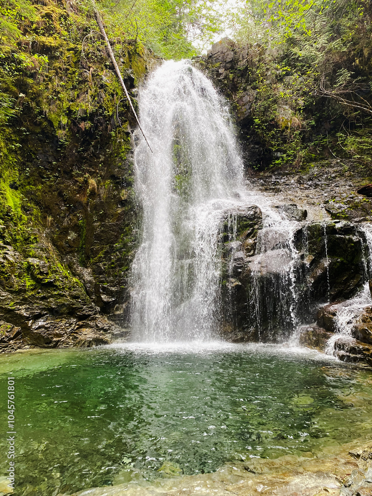 Obraz premium Beauty natural waterfall in the forest