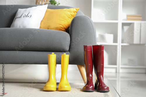 Rubber boots and sofa in li...