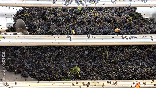 Bild auf Leinwand Industrial grape crusher working with metal blades