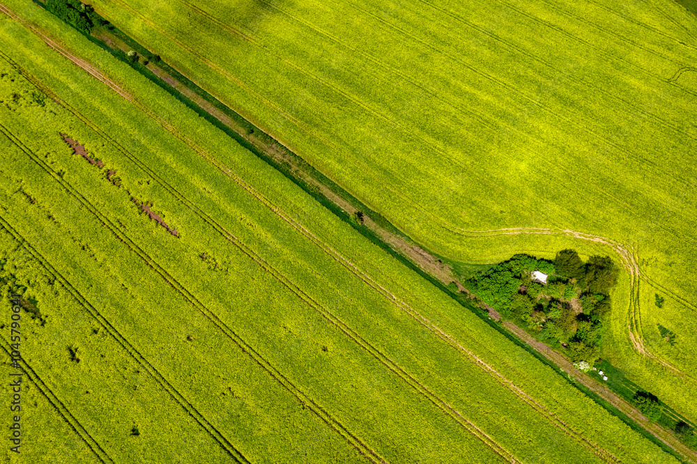 Top view of rapeseed fields. Yellow rapeseed field with stripes and abstract landscape. Germany.