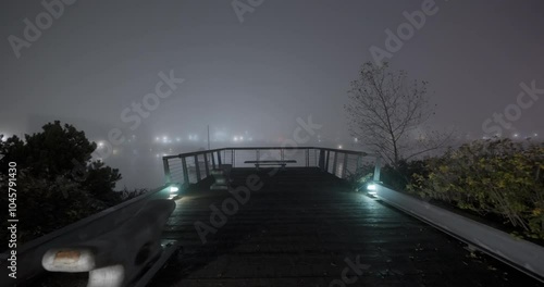 city at night during a foggy winter