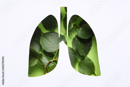 Paper cut out lungs with le...