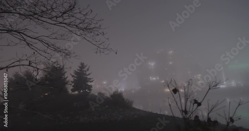 trees in the fog with the cityscape in the background