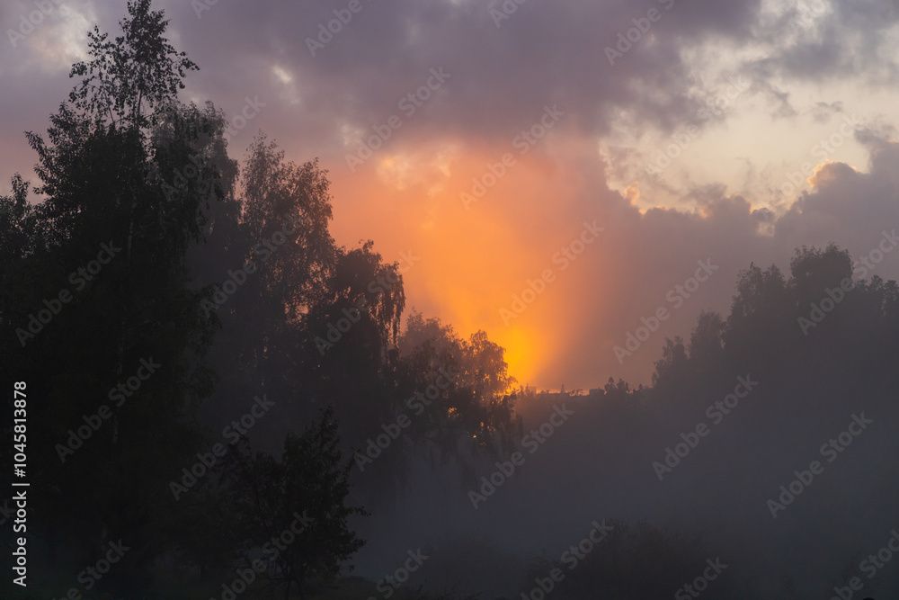 Golden sunset breaks through the misty trees in the tranquil evening sky over a serene landscape Golden sunset breaks through the misty trees in the tranquil evening sky over a serene landscape