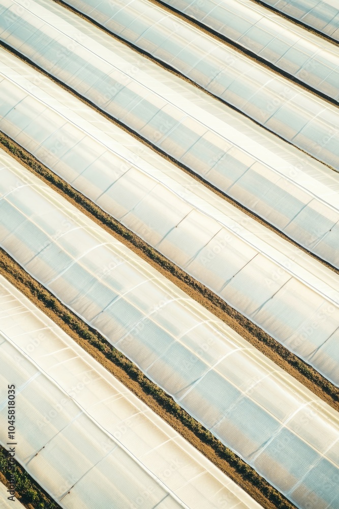 Obraz premium Minimalist Aerial View of Extensive Agricultural Greenhouses for Stock Photography and Design