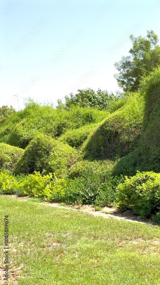 Park, hedges line landscape, soft curves, light greens shine under warm sunlight. Park, hedges line landscape, soft curves, light greens shine under warm sunlight.