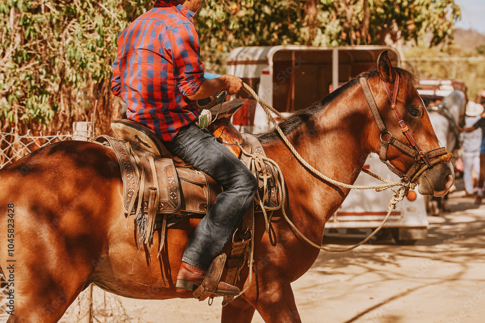 Obraz premium Hombre con camisa sobre un caballo