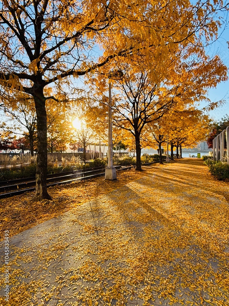 Fototapeta premium Autumn in the park