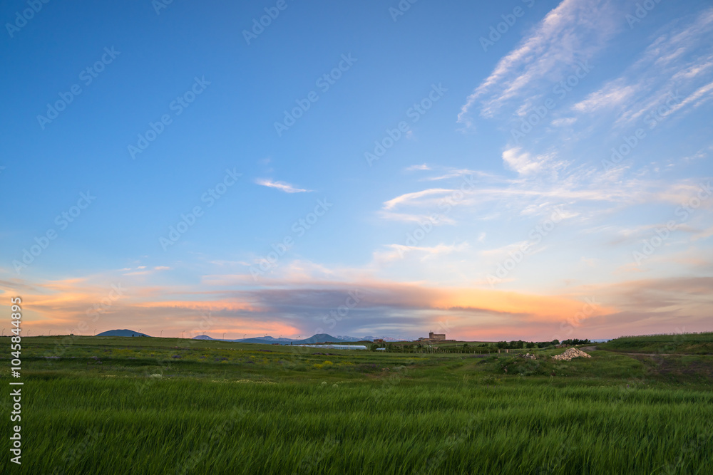 A field of green grass swaying in the wind A field of green grass swaying in the wind