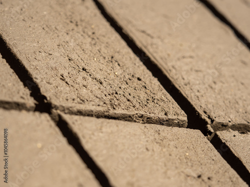 Production of mud bricks for construction purposes photo