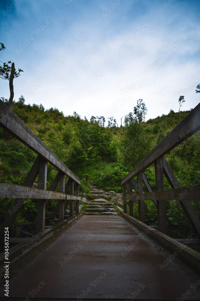 A wooden bridge nestled in the heart of the mountains, surrounded by towering trees and lush greenery. Nature’s serenity at its finest. 🌲🌿 A wooden bridge nestled in the heart of the mountains, surrounded by towering trees and lush greenery. Nature’s serenity at its finest. 🌲🌿
