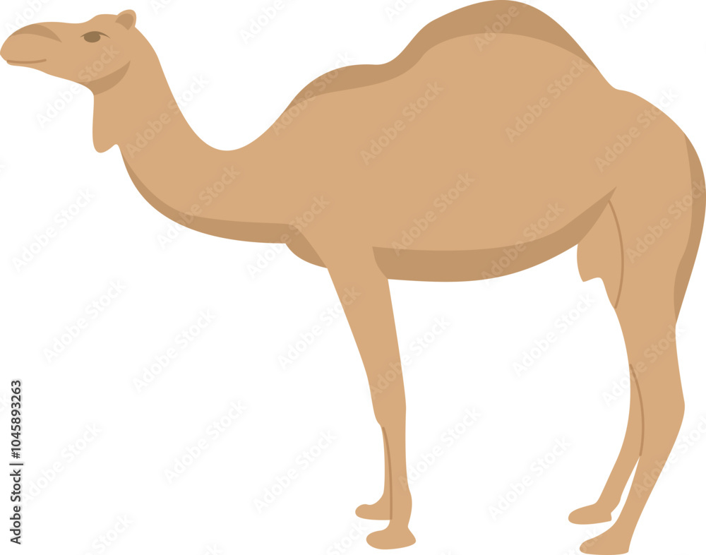 Camel desert tours Camel desert tours