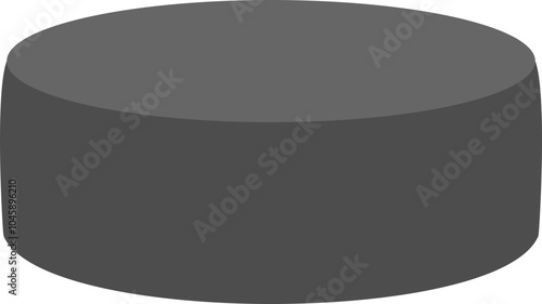 Hockey Puck