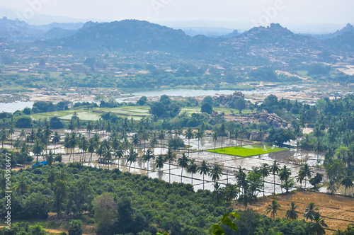 Famous rice fields surrounded by palm trees and forests with beautiful mountain peaks in the background