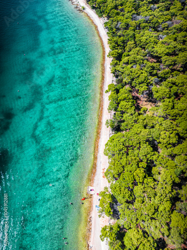 Wallpaper Mural Top down view of beautiful white beach and green pine forest of Rogoznica, Croatia during summer Torontodigital.ca