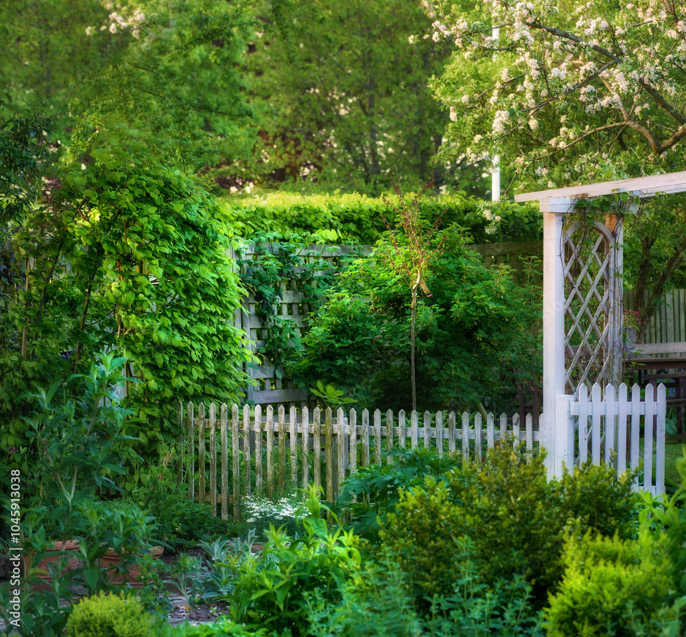 Garden, fence and flowers with landscaping design for gardening, sustainability or backyard. Foliage, wooden structure or boundary hedge with landscape background for property, architecture or growth Garden, fence and flowers with landscaping design for gardening, sustainability or backyard. Foliage, wooden structure or boundary hedge with landscape background for property, architecture or growth