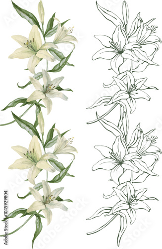Vector border of white lily flowers and leaves. Composition hand drawn lines and flowers  for wedding decor, greeting cards, packading and prints.