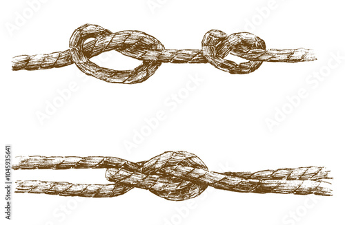 Hand drawing of strong nautical knots of rigging rope, vector illustration isolated on white