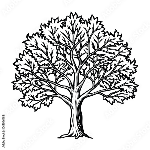 Tree silhouette with leaves outline style, vector