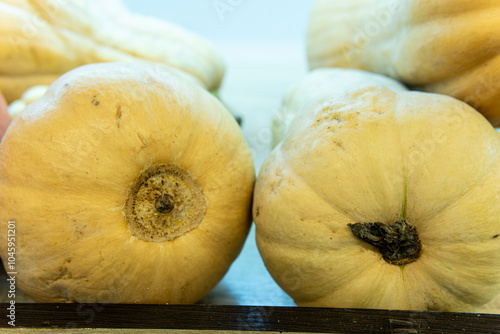 produce market seasonal season fresh harvest background farmers rustic white october photo