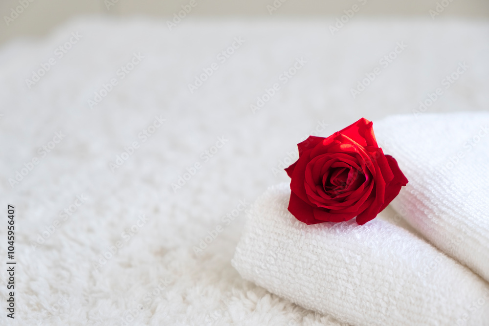 White towels with red rose on white background. Spa therapy, massage salon, romantic relaxation concept. Love, care, romance, treatment. Selflove. Copy space. White towels with red rose on white background. Spa therapy, massage salon, romantic relaxation concept. Love, care, romance, treatment. Selflove. Copy space.