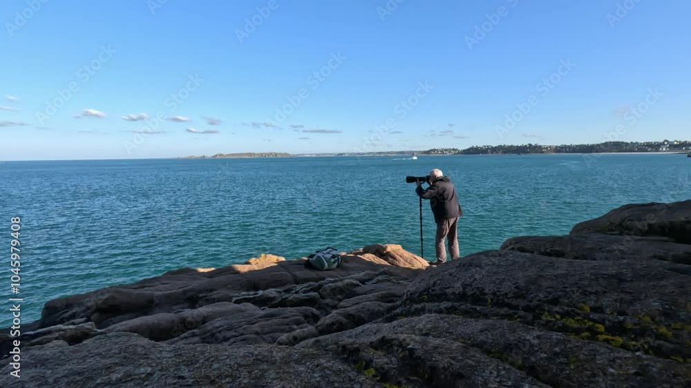 photographe animalier sur les rochers de la côte de granit rose - Bretagne photographe animalier sur les rochers de la côte de granit rose - Bretagne