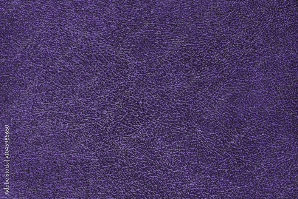 Fototapeta premium Structure of genuine leather surface with slightly grainy texture macro, close up. Smooth shiny purple leatherette, upholstery material, luxury background, backdrop, wallpaper