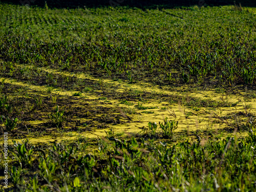 Feuchter Acker nach vielen Regenfällen photo