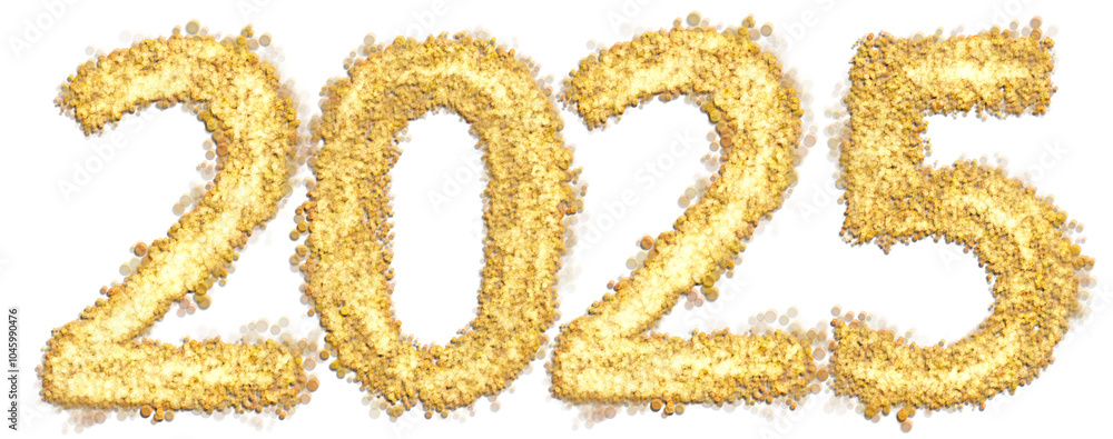 Celebration number 2025 of sparkles Celebration number 2025 of sparkles