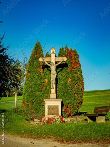 Schäden an einer Thujahecke hinter einem christlichen Kreuz photo