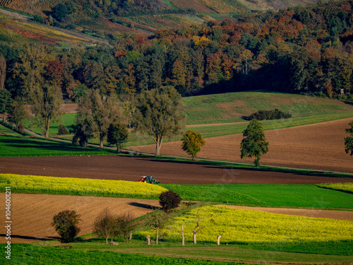 Agrarlandschaft und Weinberge im Herbst