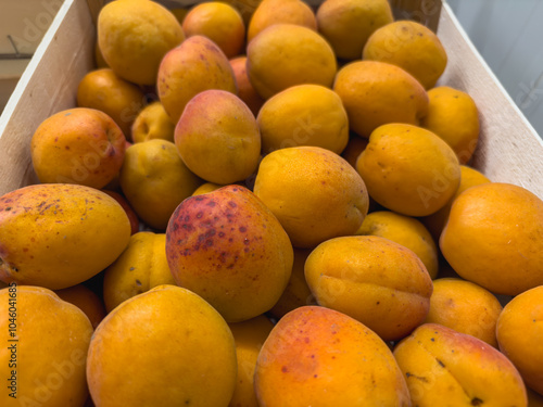 Close-up of ripe Lady Cot apricots in wooden crates, prepared for sale. Lady Cot is one of the most interesting and widespread mid-late ripening apricot varieties in Europe and Italy