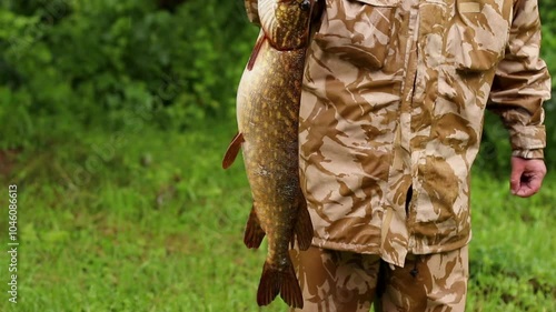 Fisherman Shows big wild Pike Fish with its mouth open to camera. Man in camouflage clothes holding waterfish he caught in his hands, close-up video. green grass and bushes on background photo