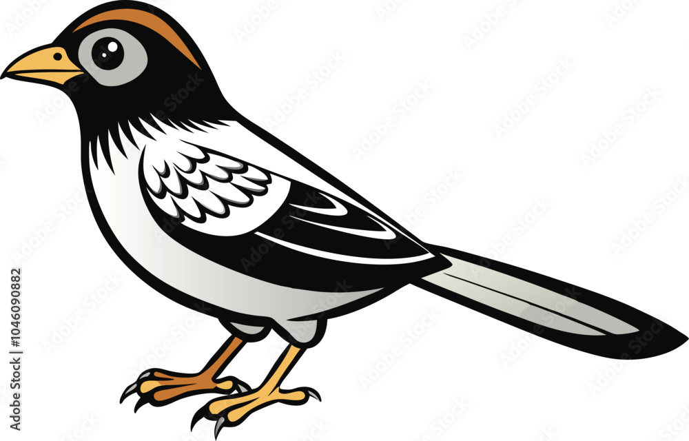 wren vector illustration wren vector illustration