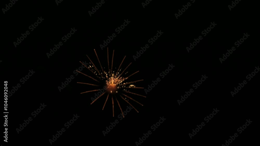 Slow motion fireworks in the black night sky. Festive salute Slow motion fireworks in the black night sky. Festive salute