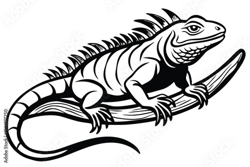 Iguana on Branch in Black and White, Embracing Nature, Vector Illustration Isolated on White Background.