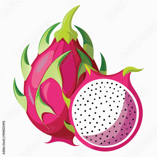 Drawings of dragon fruit vector illustration Isolated white background.