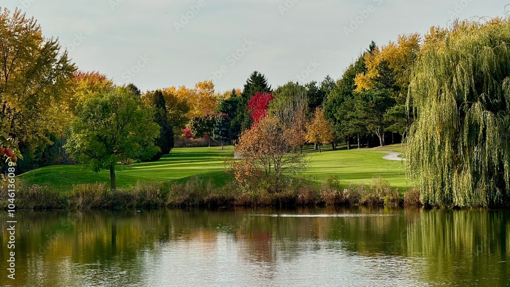 Fototapeta premium Autumn leaf colour on a golf course in October