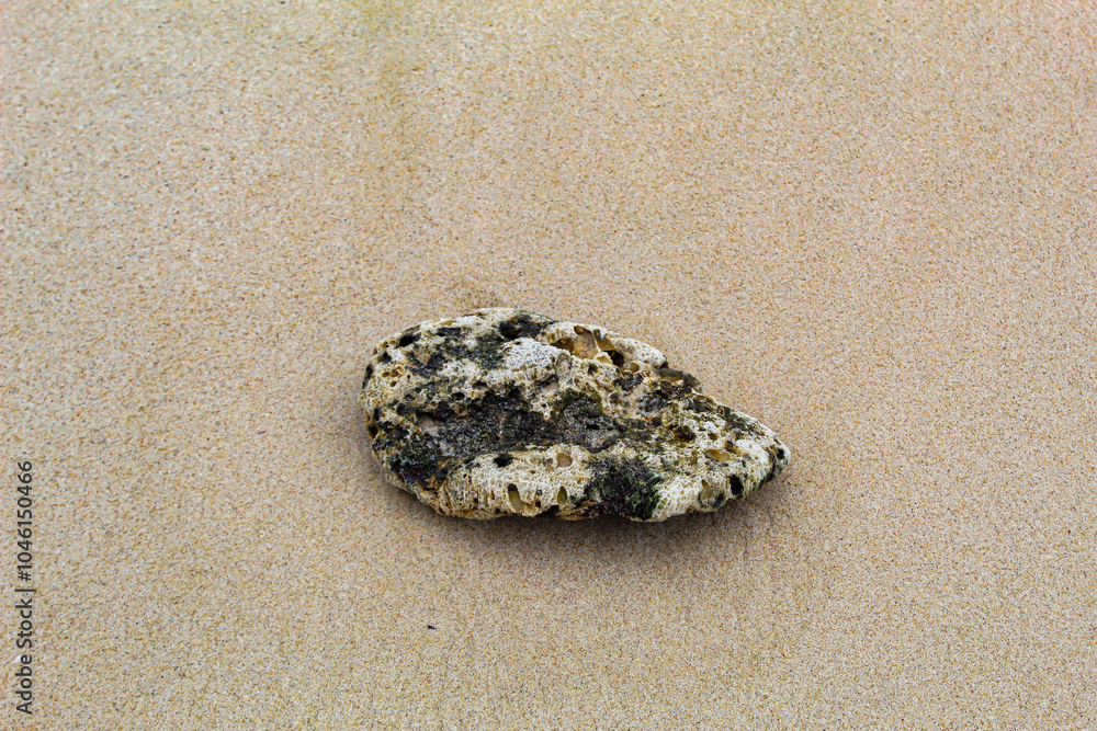 Large black coral rocks with a rough texture on the beach. Large black coral rocks with a rough texture on the beach.