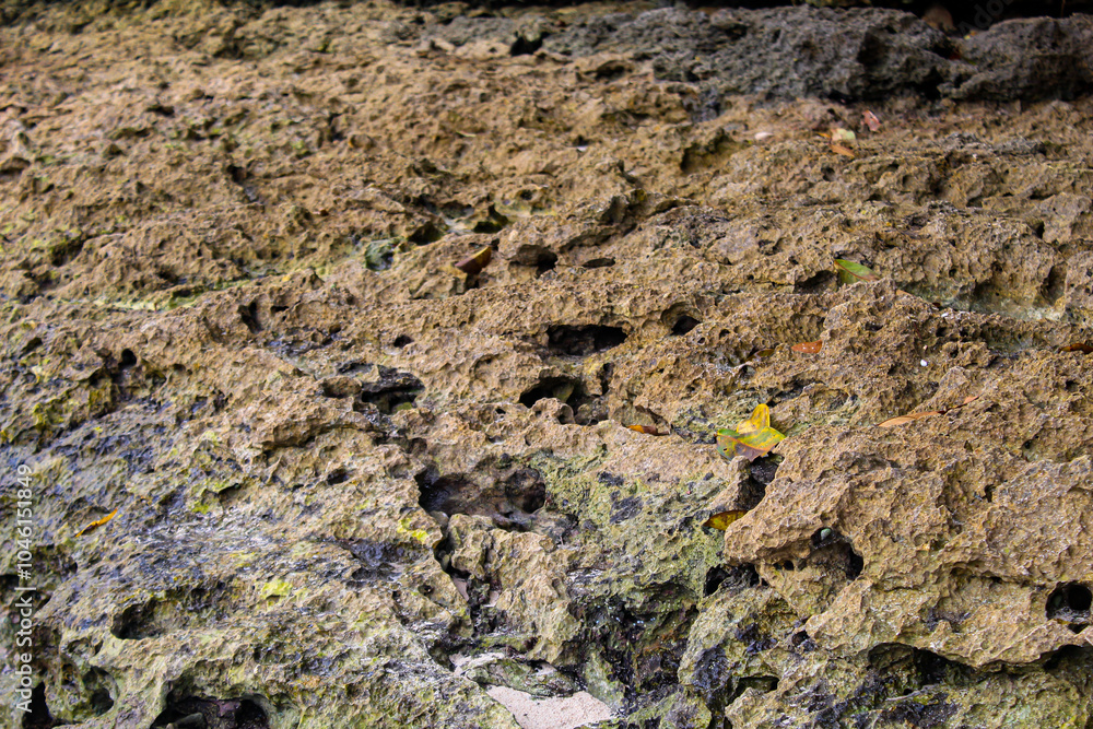Large coral rocks with a rough texture on the beach. Large coral rocks with a rough texture on the beach.