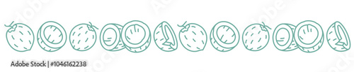 Coconut ornament. Editable outline stroke. Vector line.