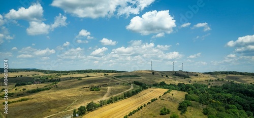 Vibrant Green Field with Yellow and Green Forest under Blue Sky