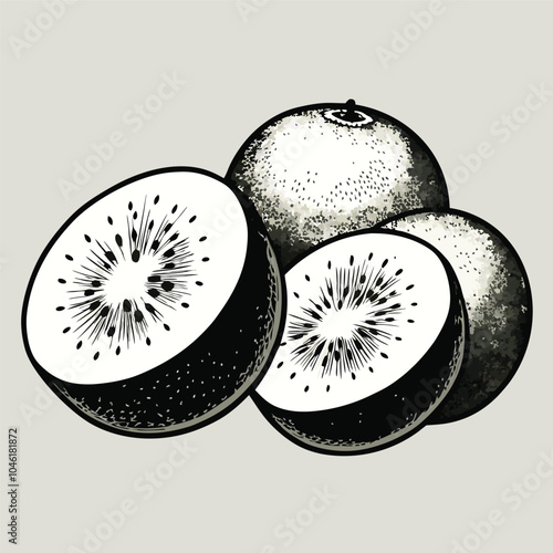 Kiwi fruit silhouette vector hand-drawn illustration Isolated white background.