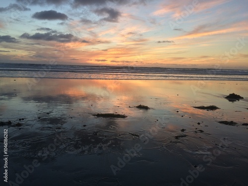 Картината върху платно Low tide San Diego