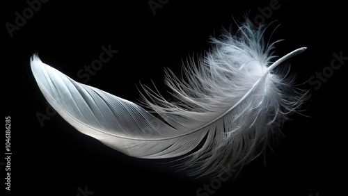 White feather falling with a dark background, asymmetrical