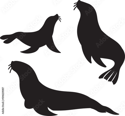 collection of seal animal silhouettes design vector art illustration