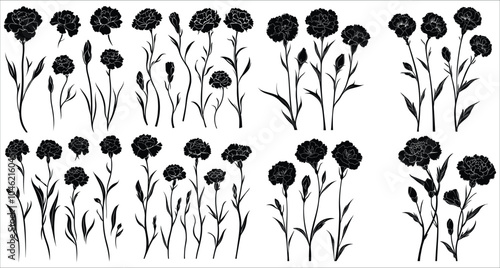 Beautiful carnation flower silhouettes for vector designs. Artistic carnation flower silhouette vector collection. Set of vector carnation flower silhouettes. Elegant carnation flower silhouettes 