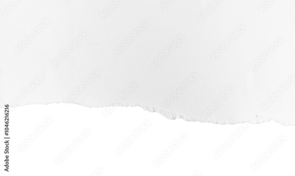 White ripped piece of paper isolated on transparent background PNG file White ripped piece of paper isolated on transparent background PNG file