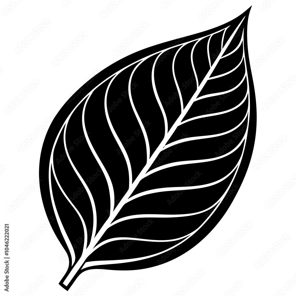 Obraz premium tea leaf silhouette on white background