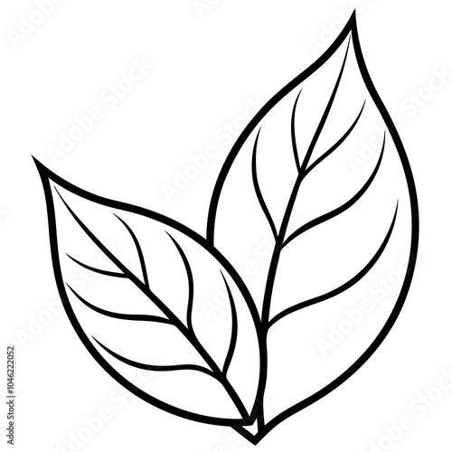 tea leaf on white background line art